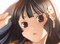 TCG＋SLG「戦国絵札遊戯 不如帰 大乱」が2010年9月に発売。ゲームデザインは，あの“Magic: The Gathering”の日本チャンピオン松尾悟郎氏