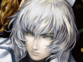 オンラインにグッと力の入ったシリーズ最新作「悪魔城ドラキュラ Harmony of Despair」のレビューを掲載。2Dアクションゲームファンなら，遊ばないと損