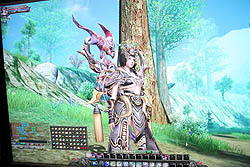 画像ギャラリー No.031のサムネイル画像 / ［E3 2010］ドイツの“gamigo AG”ブースで，あの「Witcher」がベースになったブラウザゲームを発見