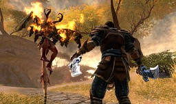 画像ギャラリー No.012のサムネイル画像 / ［Gamescom］豪華スタッフ陣による本格派シングルアクションRPG「Kingdoms of Amalur: Reckoning」その実力は？