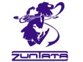 生のZUNTATAサウンドが楽しめる“「ダライアスバーストAC」ライブ＆開発者トークショー”，3月6日開催。チケットの読者プレゼントも！