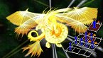 画像ギャラリー No.024のサムネイル画像 / 「ヴィーナス&ブレイブス 〜魔女と女神と滅びの予言〜」,10種類のイベントや20人のゲストが用意された新モード登場。プロモーションムービーも掲載