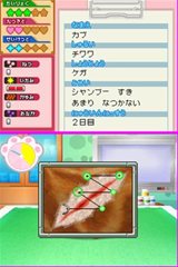 画像ギャラリー No.002のサムネイル画像 / 動物のお医者さんになりきってペットの世話や治療などができる「わんニャンどうぶつ病院」10月28日に発売