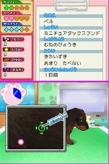 画像ギャラリー No.004のサムネイル画像 / 動物のお医者さんになりきってペットの世話や治療などができる「わんニャンどうぶつ病院」10月28日に発売