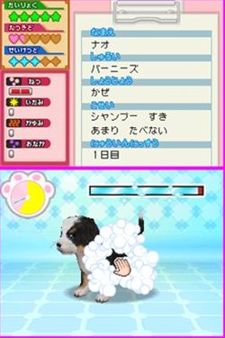 画像ギャラリー No.006のサムネイル画像 / 動物のお医者さんになりきってペットの世話や治療などができる「わんニャンどうぶつ病院」10月28日に発売