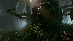 画像ギャラリー No.006のサムネイル画像 / ［Gamescom］これが次世代のRPGか。「The Witcher 2: Assassins of Kings」はグラフィックスクオリティと細かすぎるかもしれないストーリー分岐がウリ