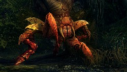 画像ギャラリー No.007のサムネイル画像 / ［Gamescom］これが次世代のRPGか。「The Witcher 2: Assassins of Kings」はグラフィックスクオリティと細かすぎるかもしれないストーリー分岐がウリ