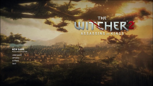 画像ギャラリー No.002のサムネイル画像 / どうしても「The Witcher 2」の紹介をせずにはいられない今週の「海外ゲーム四天王」で,ファンタジー世界における壮大な冒険を,あれやこれやしよう
