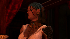 画像ギャラリー No.007のサムネイル画像 / 「Dragon Age II」では前作のプレイデータがそのまま歴史に。行動を共にする仲間達やクラスなど最新情報が続々公開