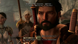 画像ギャラリー No.004のサムネイル画像 / 「Dragon Age II」の鍵は「会話」かも。プレイヤーの選択によって変化していく主人公の性格と仲間達の心情，そして待ち受けるロマンス 