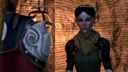 画像ギャラリー No.013のサムネイル画像 / 「Dragon Age II」の鍵は「会話」かも。プレイヤーの選択によって変化していく主人公の性格と仲間達の心情，そして待ち受けるロマンス 
