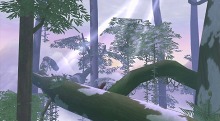 画像ギャラリー No.009のサムネイル画像 / 「NineTailOnline -精霊物語外伝-」，5月24日のアップデートの内容が明らかに。レベルキャップの引き上げ＆各種コンテンツの追加を予定