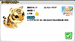 画像ギャラリー No.021のサムネイル画像 / 北米や日本のソーシャルゲーム市場は，今，どんなことになっているのか？　ロックユーアジアのCOO，石塚 亮氏に聞いた