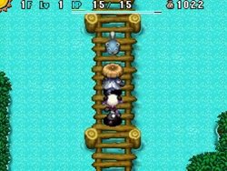 画像ギャラリー No.005のサムネイル画像 / 「不思議のダンジョン 風来のシレン5 フォーチュンタワーと運命のダイス」公式サイトで，序盤に仲間になる「タオ」の紹介映像が公開に