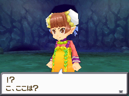 画像ギャラリー No.045のサムネイル画像 / NDS「サガ3時空の覇者 Shadow or Light」最新情報。バトルからキャラ,システムまで大ボリュームの情報をチェック