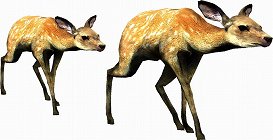 画像ギャラリー No.001のサムネイル画像 / 母親とはぐれた小鹿や家族を守るライオンの運命はいかに。「TOKYO JUNGLE」の過酷な環境を生きる動物達のストーリーを紹介