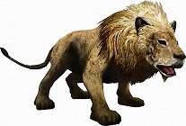 画像ギャラリー No.002のサムネイル画像 / 母親とはぐれた小鹿や家族を守るライオンの運命はいかに。「TOKYO JUNGLE」の過酷な環境を生きる動物達のストーリーを紹介