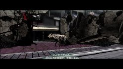 画像ギャラリー No.005のサムネイル画像 / 母親とはぐれた小鹿や家族を守るライオンの運命はいかに。「TOKYO JUNGLE」の過酷な環境を生きる動物達のストーリーを紹介