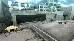 画像ギャラリー No.006のサムネイル画像 / 母親とはぐれた小鹿や家族を守るライオンの運命はいかに。「TOKYO JUNGLE」の過酷な環境を生きる動物達のストーリーを紹介