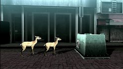 画像ギャラリー No.010のサムネイル画像 / 母親とはぐれた小鹿や家族を守るライオンの運命はいかに。「TOKYO JUNGLE」の過酷な環境を生きる動物達のストーリーを紹介