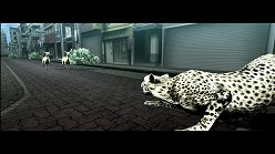 画像ギャラリー No.011のサムネイル画像 / 母親とはぐれた小鹿や家族を守るライオンの運命はいかに。「TOKYO JUNGLE」の過酷な環境を生きる動物達のストーリーを紹介