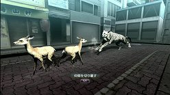 画像ギャラリー No.012のサムネイル画像 / 母親とはぐれた小鹿や家族を守るライオンの運命はいかに。「TOKYO JUNGLE」の過酷な環境を生きる動物達のストーリーを紹介