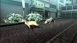 画像ギャラリー No.013のサムネイル画像 / 母親とはぐれた小鹿や家族を守るライオンの運命はいかに。「TOKYO JUNGLE」の過酷な環境を生きる動物達のストーリーを紹介
