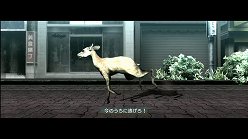 画像ギャラリー No.014のサムネイル画像 / 母親とはぐれた小鹿や家族を守るライオンの運命はいかに。「TOKYO JUNGLE」の過酷な環境を生きる動物達のストーリーを紹介