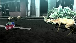 画像ギャラリー No.015のサムネイル画像 / 母親とはぐれた小鹿や家族を守るライオンの運命はいかに。「TOKYO JUNGLE」の過酷な環境を生きる動物達のストーリーを紹介