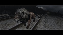 画像ギャラリー No.018のサムネイル画像 / 母親とはぐれた小鹿や家族を守るライオンの運命はいかに。「TOKYO JUNGLE」の過酷な環境を生きる動物達のストーリーを紹介