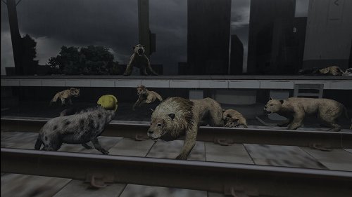 画像ギャラリー No.019のサムネイル画像 / 母親とはぐれた小鹿や家族を守るライオンの運命はいかに。「TOKYO JUNGLE」の過酷な環境を生きる動物達のストーリーを紹介