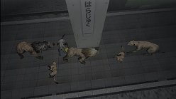 画像ギャラリー No.023のサムネイル画像 / 母親とはぐれた小鹿や家族を守るライオンの運命はいかに。「TOKYO JUNGLE」の過酷な環境を生きる動物達のストーリーを紹介