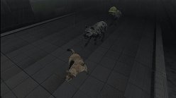 画像ギャラリー No.024のサムネイル画像 / 母親とはぐれた小鹿や家族を守るライオンの運命はいかに。「TOKYO JUNGLE」の過酷な環境を生きる動物達のストーリーを紹介
