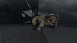 画像ギャラリー No.025のサムネイル画像 / 母親とはぐれた小鹿や家族を守るライオンの運命はいかに。「TOKYO JUNGLE」の過酷な環境を生きる動物達のストーリーを紹介