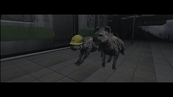 画像ギャラリー No.027のサムネイル画像 / 母親とはぐれた小鹿や家族を守るライオンの運命はいかに。「TOKYO JUNGLE」の過酷な環境を生きる動物達のストーリーを紹介
