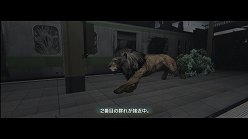 画像ギャラリー No.028のサムネイル画像 / 母親とはぐれた小鹿や家族を守るライオンの運命はいかに。「TOKYO JUNGLE」の過酷な環境を生きる動物達のストーリーを紹介