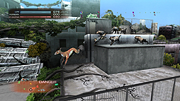 画像ギャラリー No.005のサムネイル画像 / PS3「TOKYO JUNGLE」の発売日が6月7日に決定。人間が姿を消した東京を舞台に,動物達が本能剥き出しで暴れ回るサバイバルアクション
