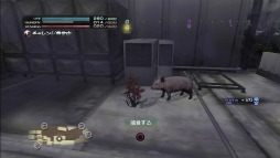 画像ギャラリー No.016のサムネイル画像 / 「TOKYO JUNGLE」のサバイバルモードが過酷すぎる。捕食し,縄張りを占拠して,メスをなびかせ世代交代しながら,ひたすら生き延びる