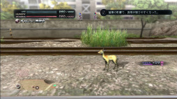 画像ギャラリー No.019のサムネイル画像 / 「TOKYO JUNGLE」のサバイバルモードが過酷すぎる。捕食し,縄張りを占拠して,メスをなびかせ世代交代しながら,ひたすら生き延びる