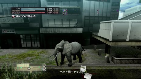 画像ギャラリー No.010のサムネイル画像 / 「TOKYO JUNGLE」生き延びた証が数値になって表れる「サバイバルポイント」の仕組みや，生き延びるためには欠かせない「アクション」を紹介