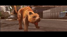 画像ギャラリー No.009のサムネイル画像 / 「TOKYO JUNGLE」,ストーリーモードのスクリーンショットを掲載。ポメラニアンにボスネコが,ニホンジカにチーターや恐竜が襲いかかる