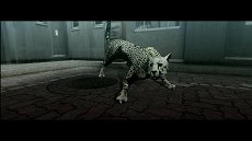 画像ギャラリー No.015のサムネイル画像 / 「TOKYO JUNGLE」,ストーリーモードのスクリーンショットを掲載。ポメラニアンにボスネコが,ニホンジカにチーターや恐竜が襲いかかる