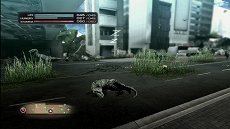 画像ギャラリー No.018のサムネイル画像 / 「TOKYO JUNGLE」，ストーリーモードのスクリーンショットを掲載。ポメラニアンにボスネコが，ニホンジカにチーターや恐竜が襲いかかる