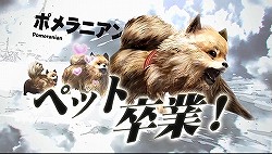 画像ギャラリー No.002のサムネイル画像 / ポメラニアンがヒヨコを喰らい,タダメスと交尾する衝撃映像(?)。注目作 「TOKYO JUNGLE」の魅力をプレイムービーで紹介