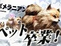 ポメラニアンがヒヨコを喰らい，タダメスと交尾する衝撃映像（？）。注目作 「TOKYO JUNGLE」の魅力をプレイムービーで紹介
