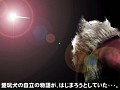 マフィア梶田の二次元が来い！：第111回「取り合いTOKYO JUNGLE修羅場！ 〜おまえら，縄張りをめぐって争うんじゃない！〜」