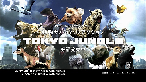 画像ギャラリー No.004のサムネイル画像 / 「TOKYO JUNGLE」の販売本数20万本突破を記念したスペシャルCMが渋谷の街頭ビジョンで放映