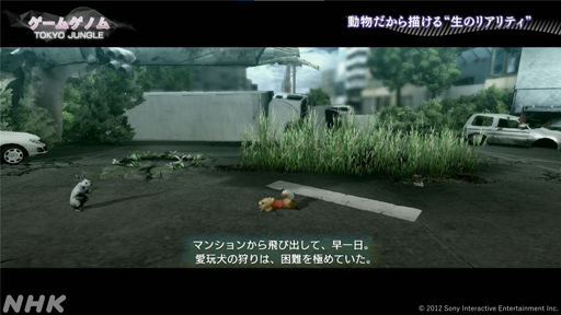 画像ギャラリー No.005のサムネイル画像 / NHK「ゲームゲノム」第10回「TOKYO JUNGLE/Stray」視聴レポート。ゲーマーの話題をさらった異色アニマルゲームに共通するものとは