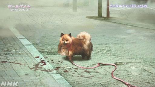 画像ギャラリー No.006のサムネイル画像 / NHK「ゲームゲノム」第10回「TOKYO JUNGLE/Stray」視聴レポート。ゲーマーの話題をさらった異色アニマルゲームに共通するものとは