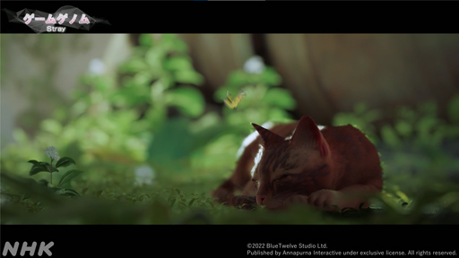 画像ギャラリー No.008のサムネイル画像 / NHK「ゲームゲノム」第10回「TOKYO JUNGLE/Stray」視聴レポート。ゲーマーの話題をさらった異色アニマルゲームに共通するものとは